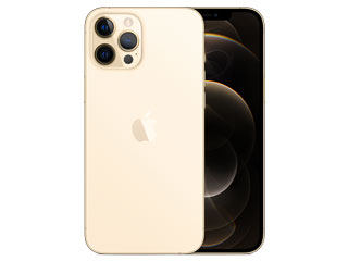 Apple iPhone 13 pro max Reparatie Westland
